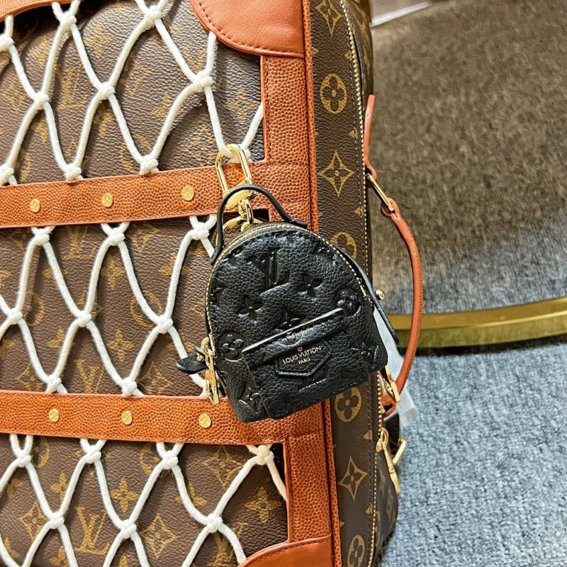 Louis Vuitton Bags Accessories